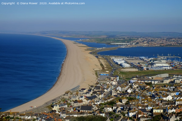 Chesil Beach Dorset Picture Board by Diana Mower