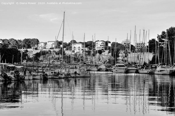  Porto Cristo Harbour Mallorca Picture Board by Diana Mower