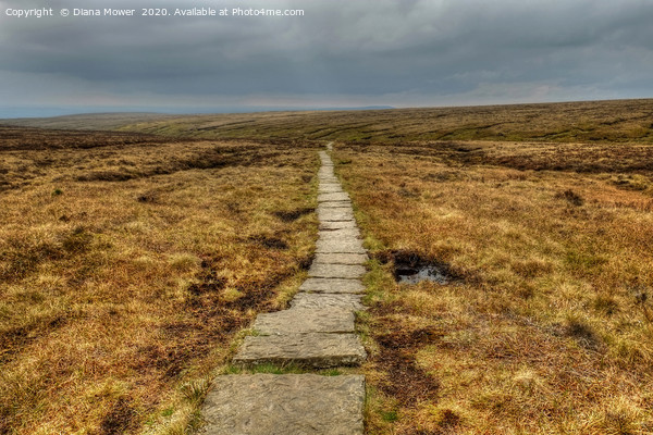 Pendle Hill Path Picture Board by Diana Mower