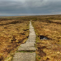 Buy canvas prints of Pendle Hill Path by Diana Mower
