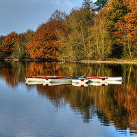 Buy canvas prints of Hatfield Forest Autumn lake by Diana Mower