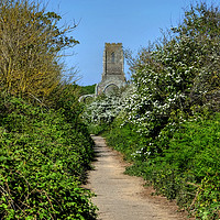 Buy canvas prints of Path to the Church Covehithe Suffolk by Diana Mower