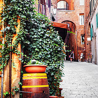 Buy canvas prints of Siena Street Italy by Diana Mower