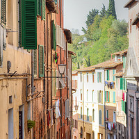 Buy canvas prints of Siena Back Street Italy by Diana Mower