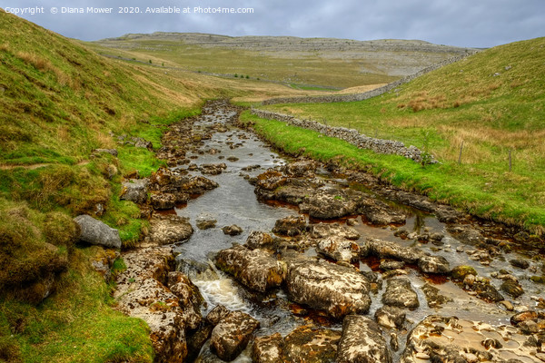 River Twiss Ingleton Yorkshire Picture Board by Diana Mower