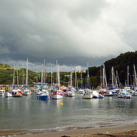 Buy canvas prints of Ilfracombe Harbour Devon by Diana Mower