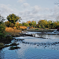 Buy canvas prints of Beeleigh Falls Maldon  by Diana Mower
