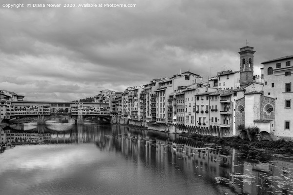  Ponte Vecchio Florence Monochrome  Picture Board by Diana Mower