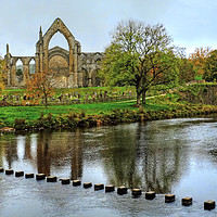 Buy canvas prints of Bolton Abbey Stepping Stones Wharfedale by Diana Mower