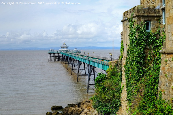 Clevedon Pier Somerset Picture Board by Diana Mower