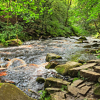Buy canvas prints of Hebden Beck near Hardcastle Crags by Diana Mower