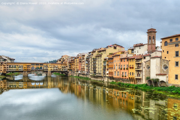 Ponte Vecchio and the river Arno Florence Picture Board by Diana Mower