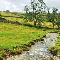 Buy canvas prints of Gordale beck and Gorge by Diana Mower