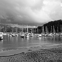 Buy canvas prints of Ilfracombe harbour    by Diana Mower