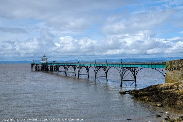 Clevedon Victorian Pier Somerset Picture Board by Diana Mower