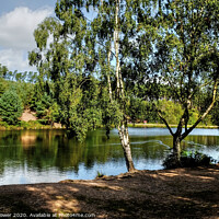 Buy canvas prints of Cannock Chase Lake by Diana Mower