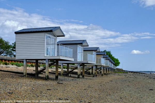 Mill beach Essex Osea View Picture Board by Diana Mower