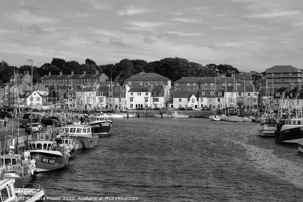 Weymouth Harbour Monochrome Picture Board by Diana Mower