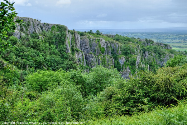Cheddar Gorge Cliffs Picture Board by Diana Mower