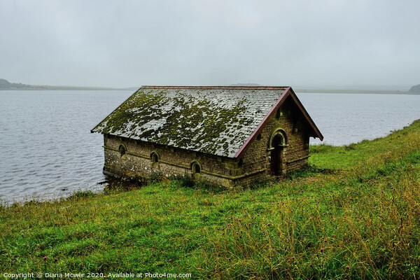 Malham Tarn Boathouse Picture Board by Diana Mower