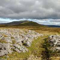 Buy canvas prints of Twistleton Scar and Whernside Yorkshire Dales by Diana Mower