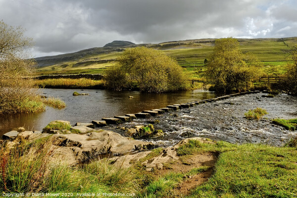  Ingleborough and  Stepping Stones Yorkshire Dales Picture Board by Diana Mower