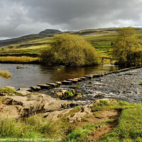 Buy canvas prints of  Ingleborough and  Stepping Stones Yorkshire Dales by Diana Mower