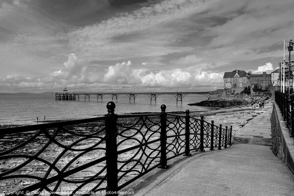 Clevedon Beach pier and Promenade Somerset Picture Board by Diana Mower