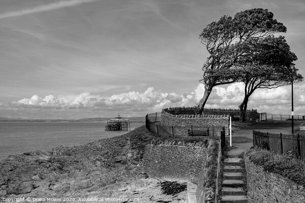 Clevedon Beach pier and Promenade steps Picture Board by Diana Mower