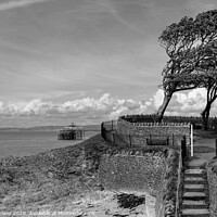 Buy canvas prints of Clevedon Beach pier and Promenade steps by Diana Mower