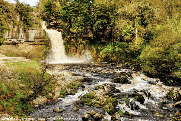 Thornton Force Waterfall Ingleton Yorkshire Dales Picture Board by Diana Mower