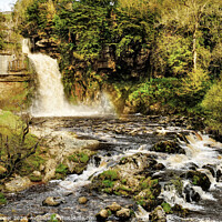 Buy canvas prints of Thornton Force Waterfall Ingleton Yorkshire Dales by Diana Mower