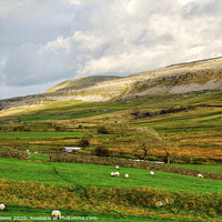 Buy canvas prints of Yorkshire Dales Landscape view by Diana Mower