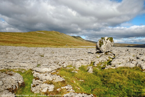 Twistleton Scar and Whernside Erratic Yorkshire  Picture Board by Diana Mower