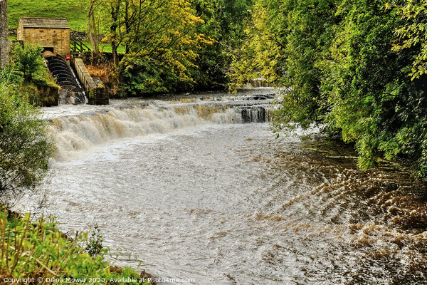 The Waterfalls at Bainbridge Yorkshire. Picture Board by Diana Mower