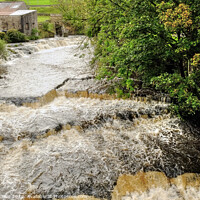Buy canvas prints of The Waterfalls at Bainbridge Yorkshire. by Diana Mower