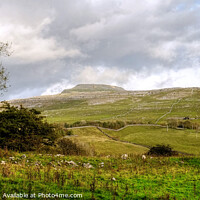 Buy canvas prints of Yorkshire Dales Ingleborough  by Diana Mower