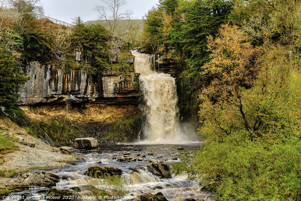 Thornton Force Waterfall Ingleton Picture Board by Diana Mower