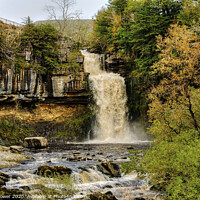 Buy canvas prints of Thornton Force Waterfall Ingleton by Diana Mower