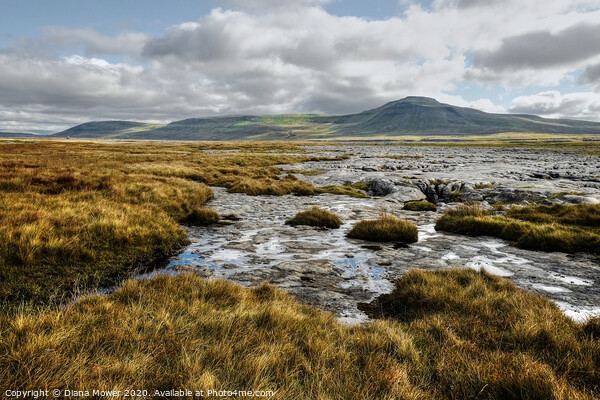 Ingleborough Yorkshire Dales Picture Board by Diana Mower