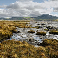 Buy canvas prints of Ingleborough Yorkshire Dales by Diana Mower