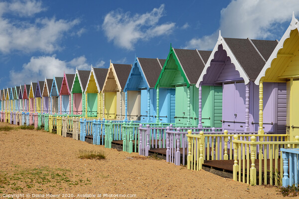 Mersea Beach Huts Essex Picture Board by Diana Mower