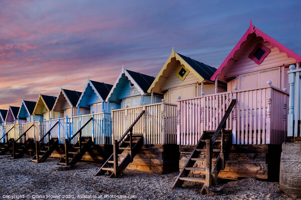 Mersea Beach Huts Essex Picture Board by Diana Mower