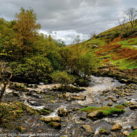 Buy canvas prints of River Twiss near Thornton Force Yorkshire Dales by Diana Mower