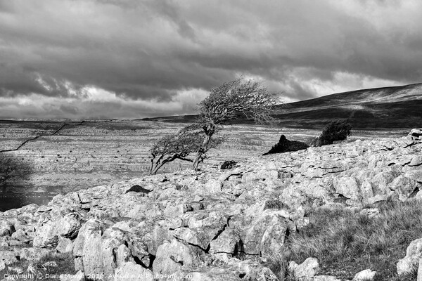 Twistleton Scar Trees Yorkshire Dales Mono Picture Board by Diana Mower
