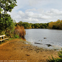 Buy canvas prints of Connaught Water Epping Seat by Diana Mower