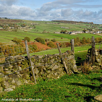 Buy canvas prints of Yorkshire Dales Near Haworth  by Diana Mower