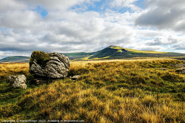 Ingleborough Erratic Yorkshire Dales Picture Board by Diana Mower