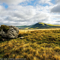 Buy canvas prints of Ingleborough Erratic Yorkshire Dales by Diana Mower