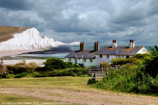 Seven Sisters and Cuckmere Haven  Picture Board by Diana Mower